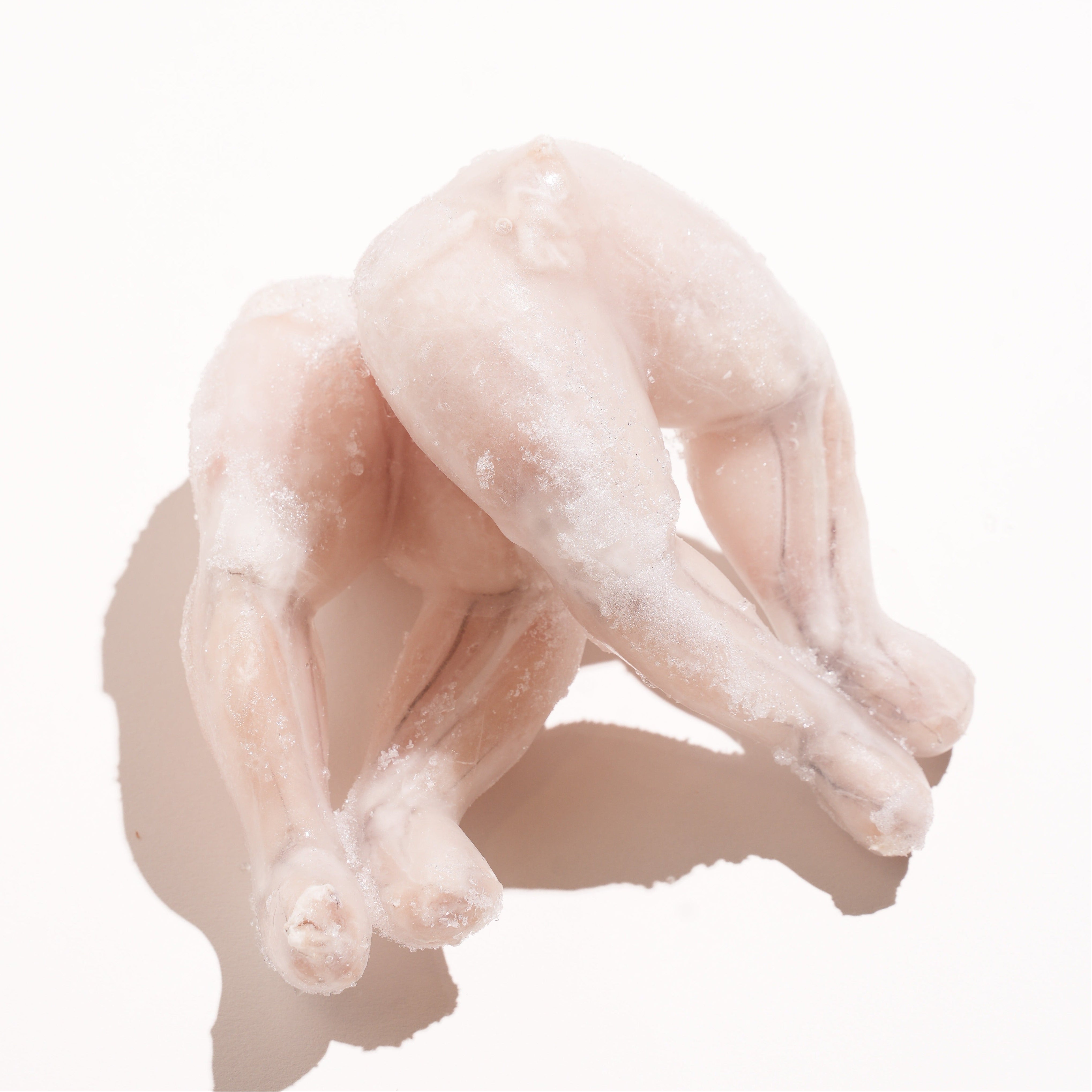 Frog Legs (5#)